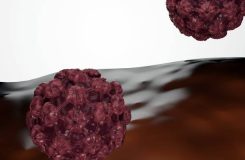 Genital warts vaccine