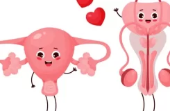 آلت تناسلی مردانه