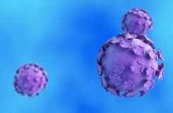 Treatment of genital warts